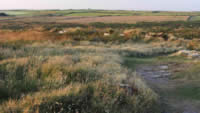 slide-202
